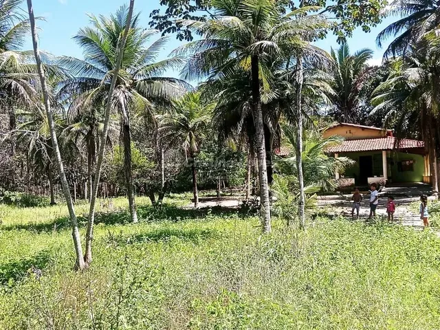 Imagem 2: Sítio À Venda, Pov. Campestre, Teresina, Pi
