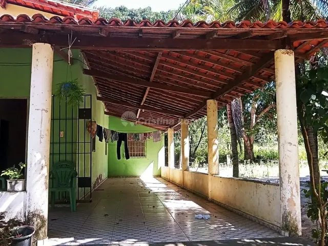 Imagem 3: Sítio À Venda, Pov. Campestre, Teresina, Pi