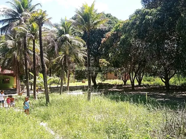 Imagem 4: Sítio À Venda, Pov. Campestre, Teresina, Pi