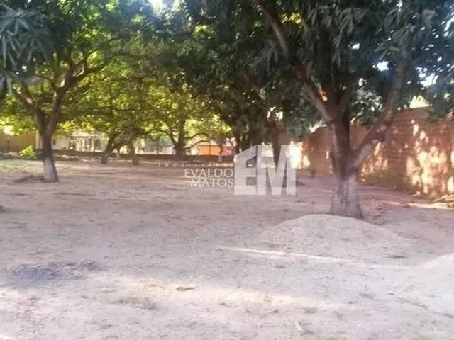 Imagem 3: Sítio À Venda, 3 Quartos, 1 Suíte, Zona Rural - Teresina/Pi
