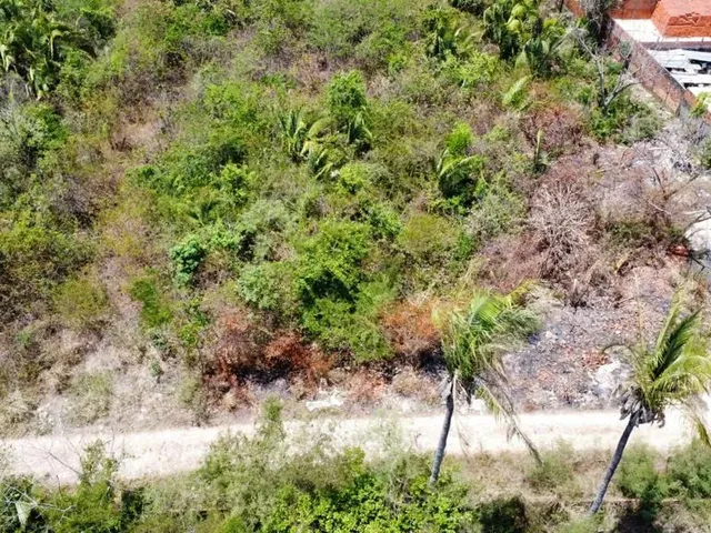 Imagem 3: Lote de Terreno no Bairro Porto do Centro Teresina, com 3.000M² 60,00 X50,00, Já