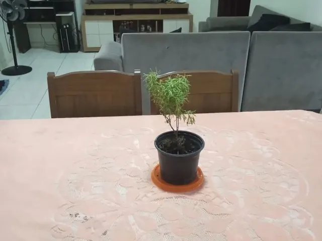 Imagem 6: Vende-Se Casa em Caracaraí, 3 Quartos, Sendo Uma Suíte