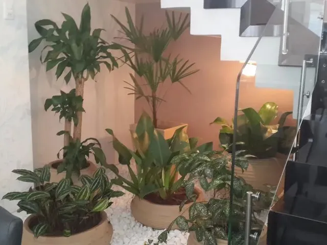 Imagem 5: Cobertura com 4 Dormitórios À Venda, 451 M² por R$ 3.100.000,00 - Jardim das Américas
