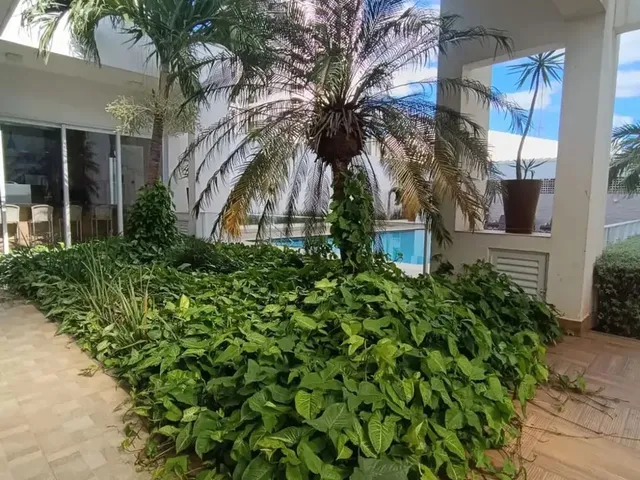 Imagem 15: Imóvel para Venda com 94 Metros Quadrados com 3 Quartos em Alvorada - Cuiabá - Mt
