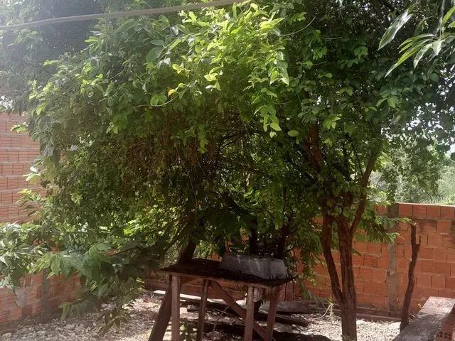 Imagem 4: Vendo Casa no Distrito do Sucuri