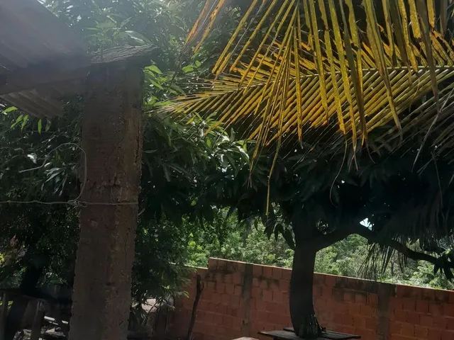 Imagem 5: Vendo Casa no Distrito do Sucuri