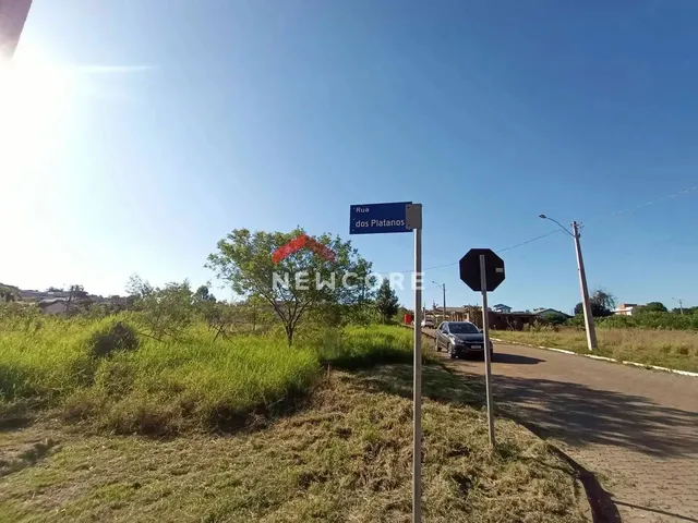 Imagem: Lote em Rua dos Plátanos - Rosas - Estância