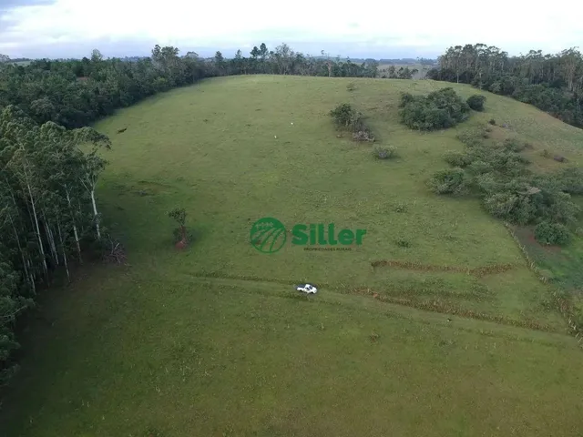 Imagem 13: Área de 5 Hectares a Venda a 4,5 Km da 020