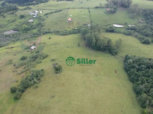 Imagem 10: Área de 5 Hectares a Venda a 4,5 Km da 020
