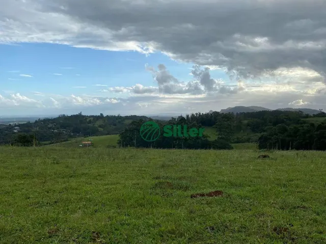 Imagem 8: Área de 5 Hectares a Venda a 4,5 Km da 020