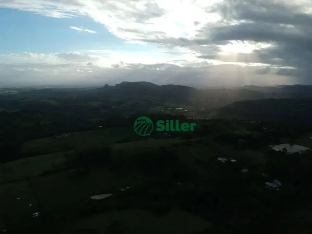 Imagem 3: Área de 5 Hectares a Venda a 4,5 Km da 020
