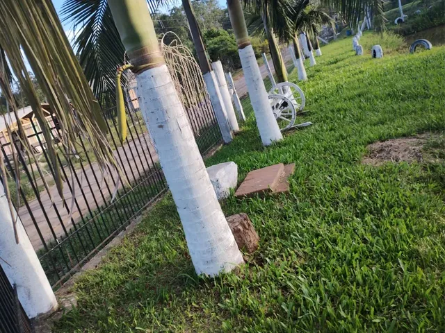 Imagem 10: Chácara em Nova Hartz