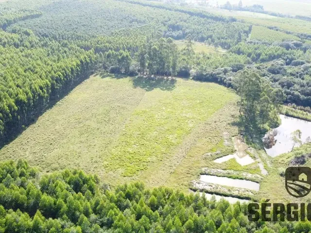 Imagem 2: Sítio com 2,2Ha, Casa/Galpão Rústico e Açudes em Triunfo