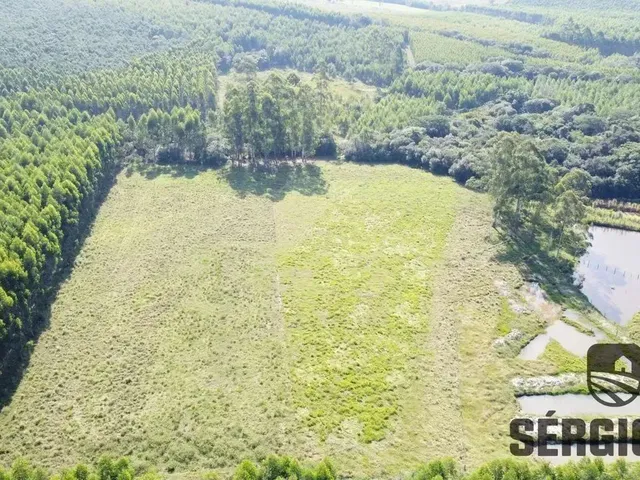 Imagem 11: Sítio com 2,2Ha, Casa/Galpão Rústico e Açudes em Triunfo