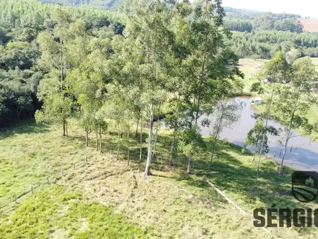 Imagem 6: Sítio com 2,2Ha, Casa/Galpão Rústico e Açudes em Triunfo