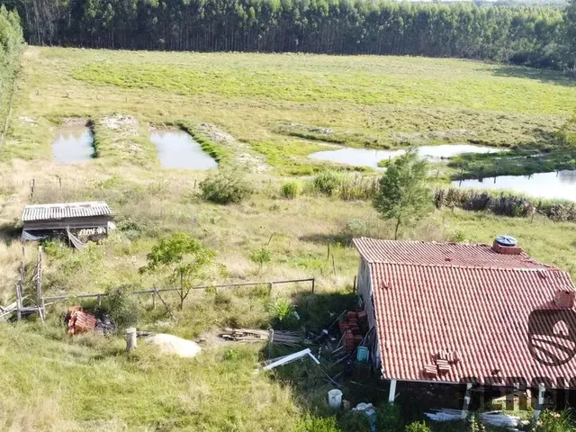 Imagem 10: Sítio com 2,2Ha, Casa/Galpão Rústico e Açudes em Triunfo