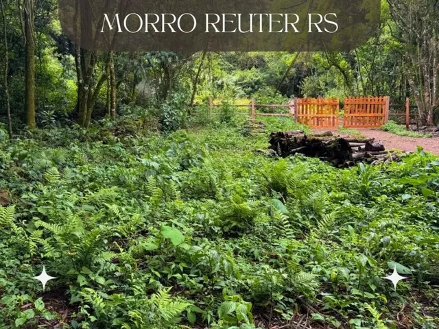 Imagem: Sítio Meia/ Hectare - Morro Reuter Rs