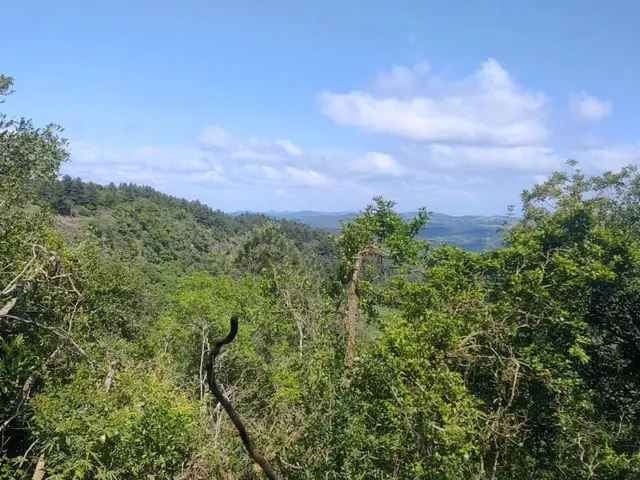 Imagem 5: Sítio 24 Hectares com Vista Panorâmica - Entrada + Parcelamento Direto