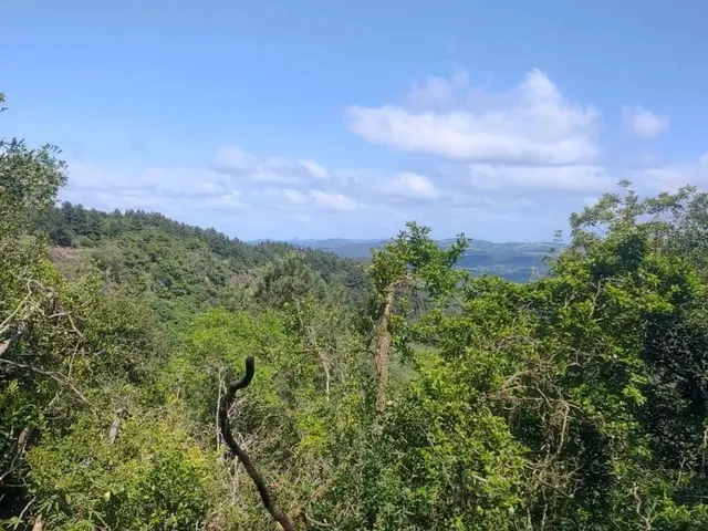 Imagem 2: Sítio 24 Hectares com Vista Panorâmica - Entrada + Parcelamento Direto