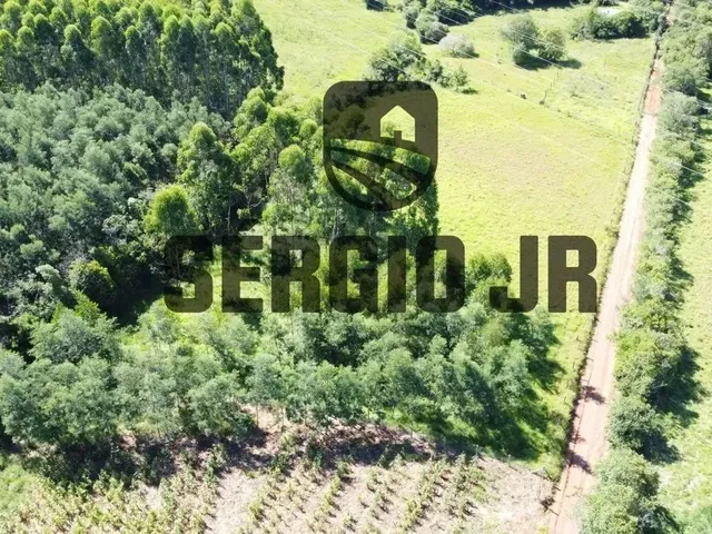 Imagem 3: Área de Terra com 6.350M² em Triunfo