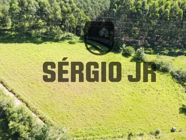 Imagem 6: Área de Terra com 6.350M² em Triunfo