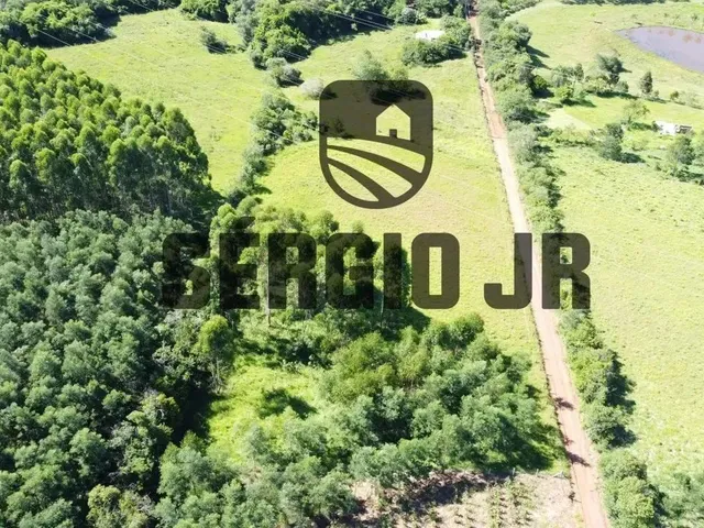 Imagem 8: Área de Terra com 6.350M² em Triunfo