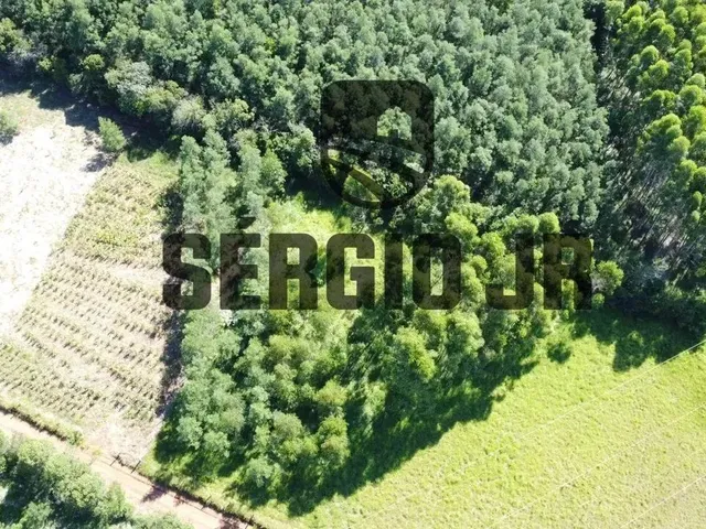 Imagem 7: Área de Terra com 6.350M² em Triunfo