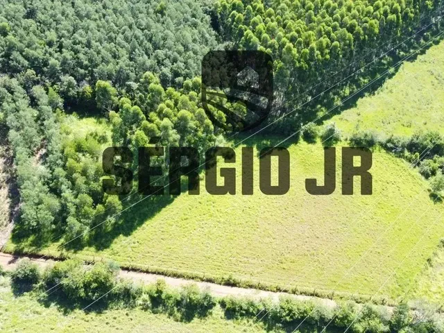 Imagem 9: Área de Terra com 6.350M² em Triunfo