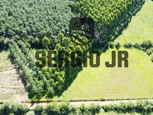 Imagem 11: Área de Terra com 6.350M² em Triunfo