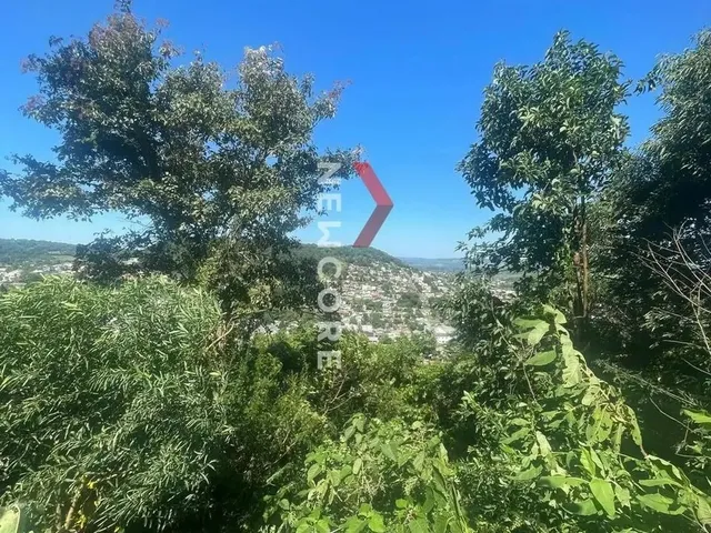 Imagem 7: Lote em Rua Guara - Planasa - Parobé/Rs
