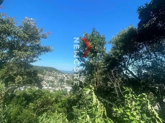 Imagem 6: Lote em Rua Guara - Planasa - Parobé/Rs