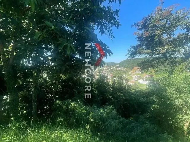 Imagem 2: Lote em Rua Guara - Planasa - Parobé/Rs