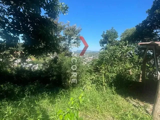 Imagem 13: Lote em Rua Guara - Planasa - Parobé/Rs