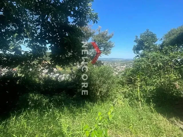 Imagem 10: Lote em Rua Guara - Planasa - Parobé/Rs