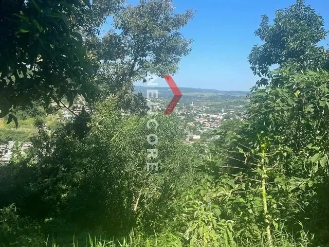 Imagem 11: Lote em Rua Guara - Planasa - Parobé/Rs