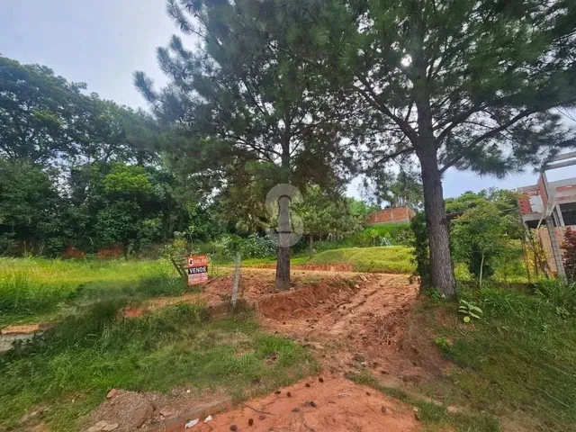 Imagem 7: Terreno À Venda em São Leopoldo Nao