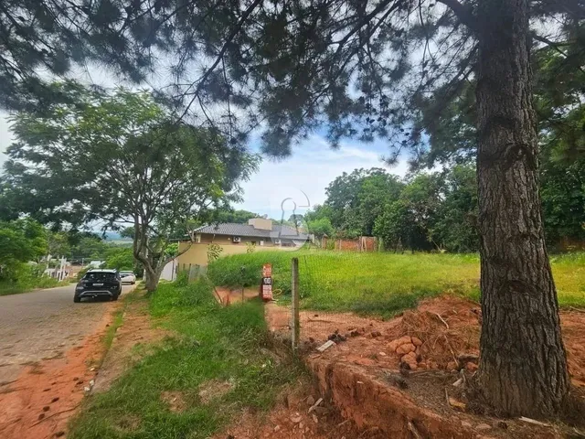 Imagem 8: Terreno À Venda em São Leopoldo Nao