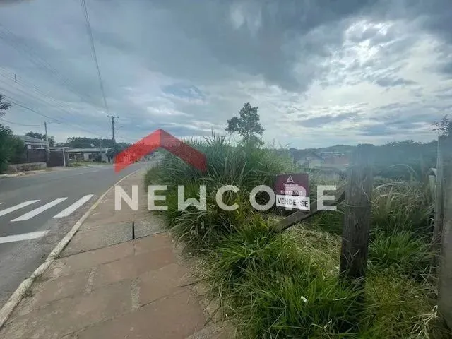 Imagem: Lote em Rua Djalmo Haack - Integração