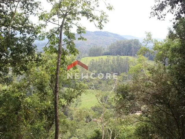Imagem 11: Sítio em Est Padilha - Padilha - Padilha/Rs