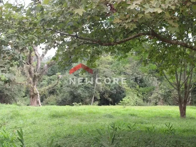Imagem 12: Sítio em Est Padilha - Padilha - Padilha/Rs