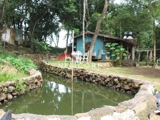 Imagem 4: Sítio em Est Padilha - Padilha - Padilha/Rs