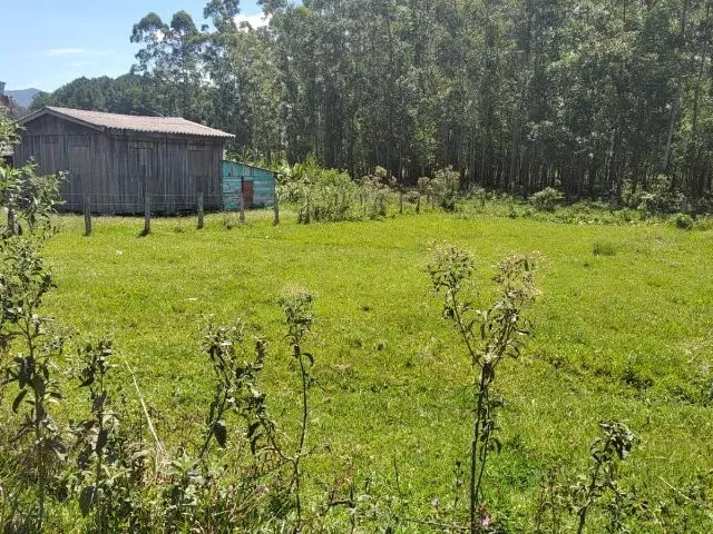 Imagem 1: Vendo Excelente Terreno no Campo da Brazina - Ararica/Rs