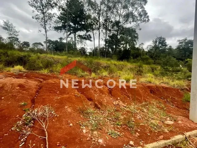 Imagem 13: Lote em Rua Jurerê - Emancipação - Parobé/Rs