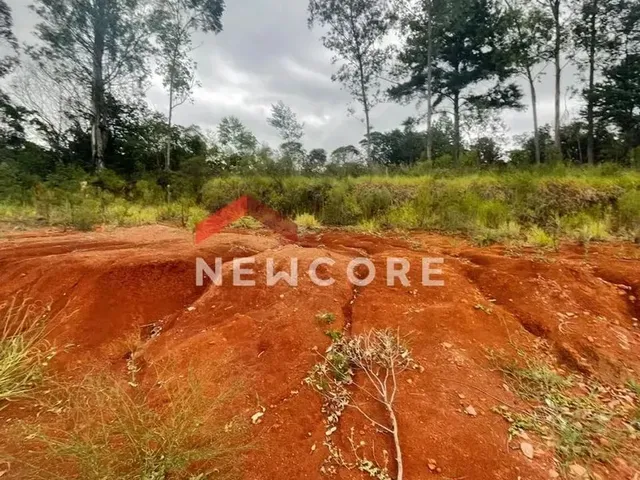 Imagem 5: Lote em Rua Jurerê - Emancipação - Parobé/Rs