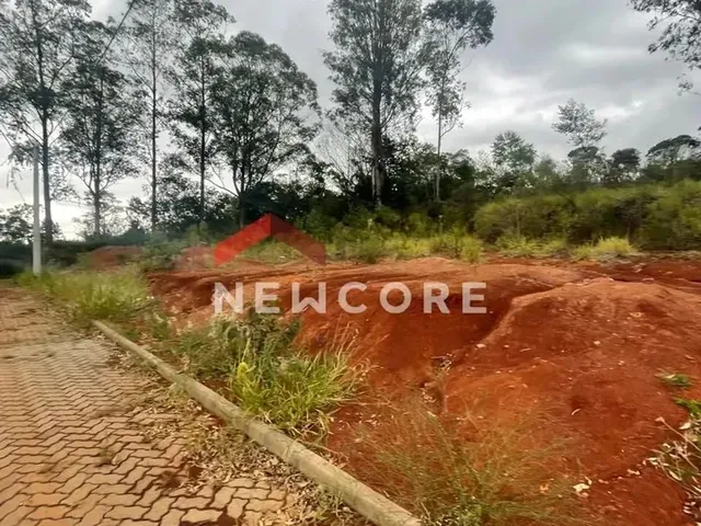 Imagem 10: Lote em Rua Jurerê - Emancipação - Parobé/Rs