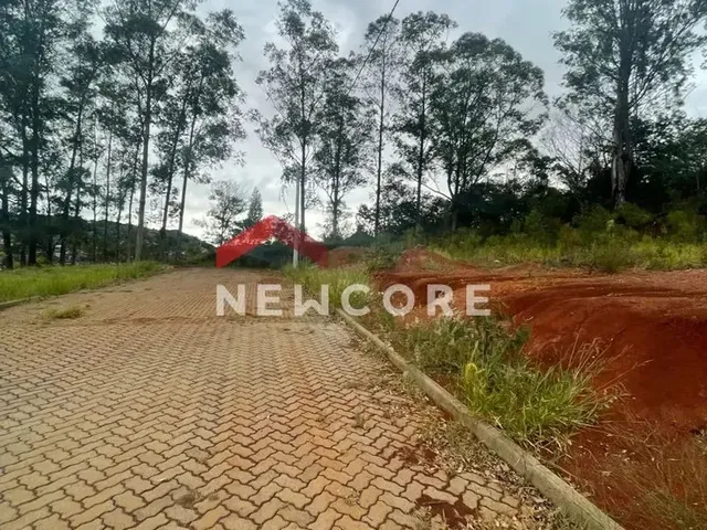 Imagem 6: Lote em Rua Jurerê - Emancipação - Parobé/Rs