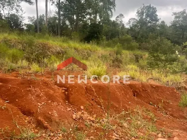 Imagem 4: Lote em Rua Jurerê - Emancipação - Parobé/Rs