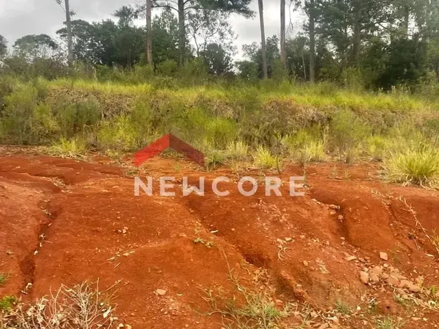 Imagem 14: Lote em Rua Jurerê - Emancipação - Parobé/Rs