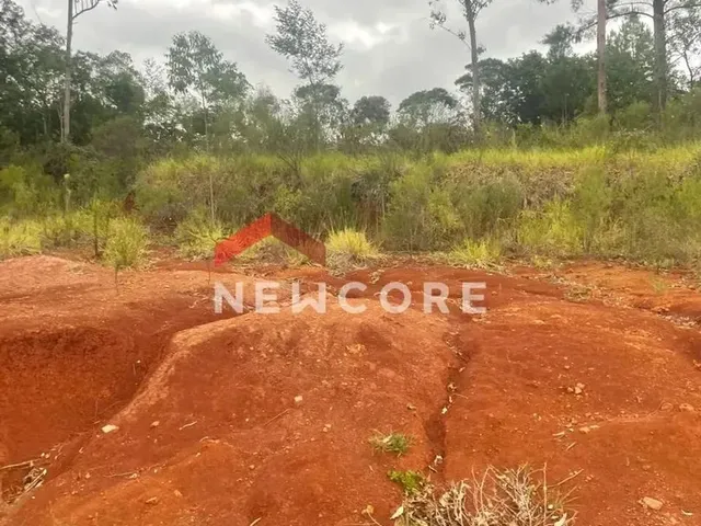 Imagem 9: Lote em Rua Jurerê - Emancipação - Parobé/Rs