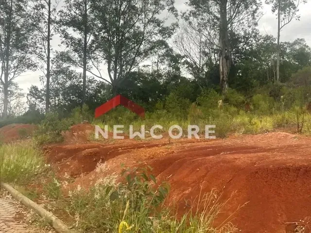 Imagem 15: Lote em Rua Jurerê - Emancipação - Parobé/Rs